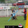 IMG_9402 (2)